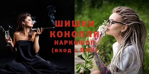 дмт Костерёво