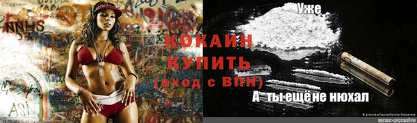 амф Корсаков
