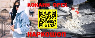 шишки Кандалакша