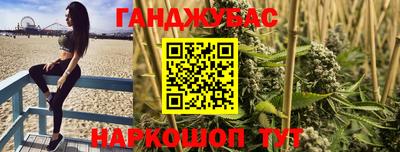 шишки Кандалакша