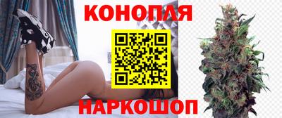 шишки Кандалакша