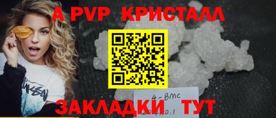шишки Кандалакша