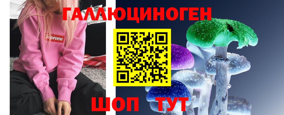 Галлюциногенные грибы GOLDEN TEACHER  Псилоцибиновые грибы мицелий  Вход с VPN  Лабытнанги 